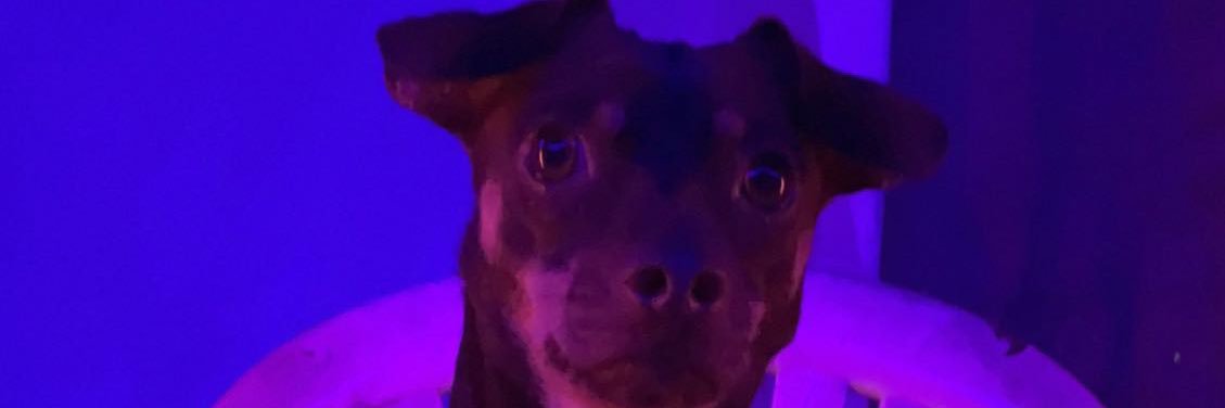 Shilynn4's profile banner image