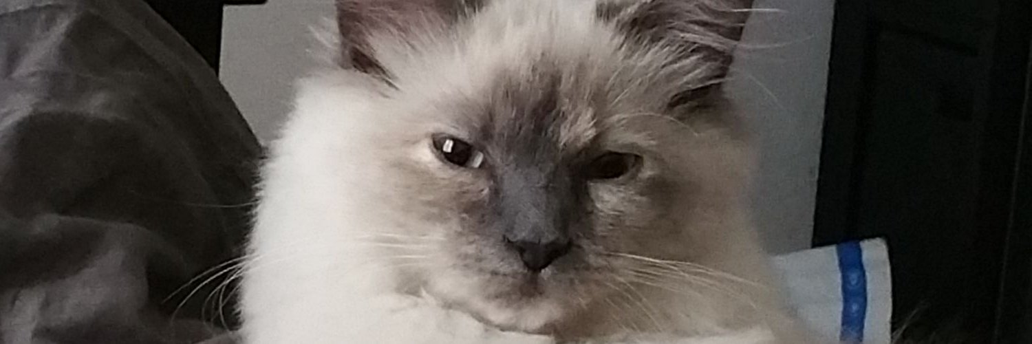 Capile 🇫🇷#Macron Destitution banner