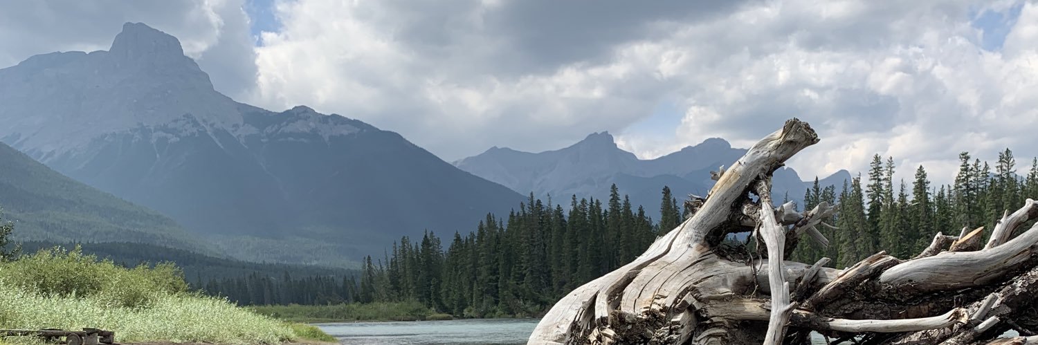 Kim Bremault 🇺🇦 banner
