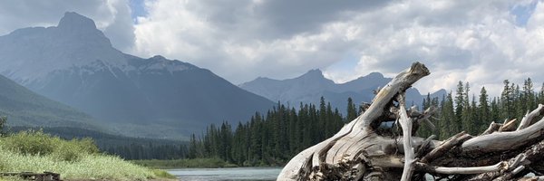 ChappyBee Profile Banner