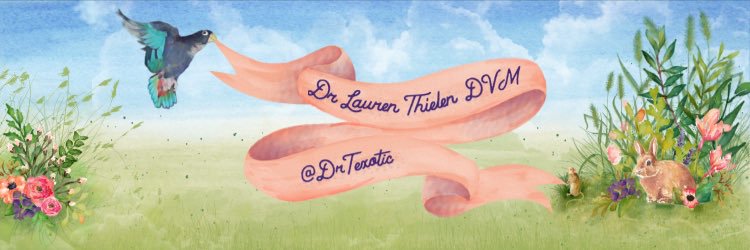 DrTexotics's profile banner image