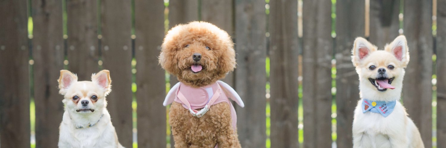 7mcz__'s profile banner image