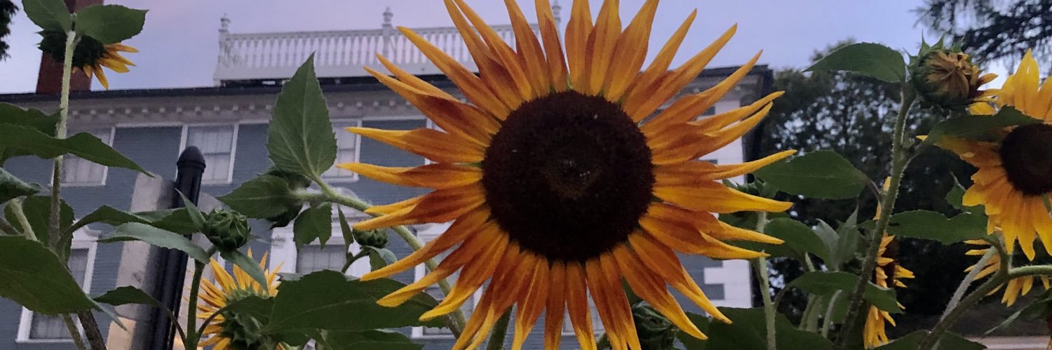 briananrowe's profile banner image