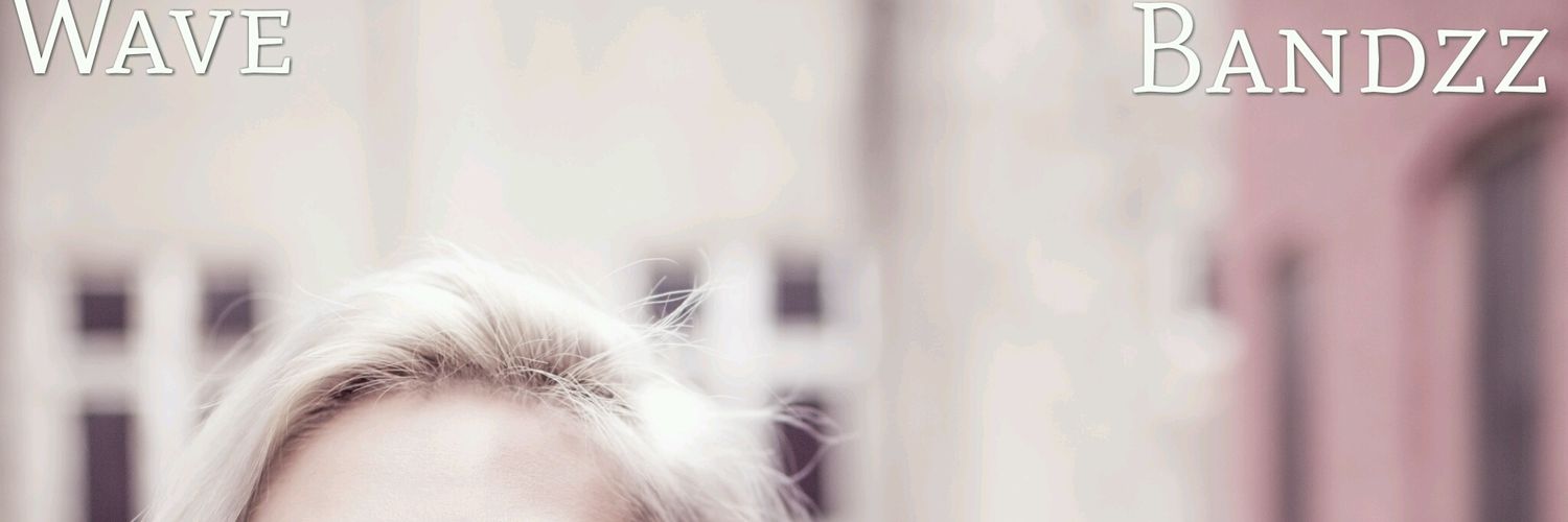 wavebandzz's profile banner image