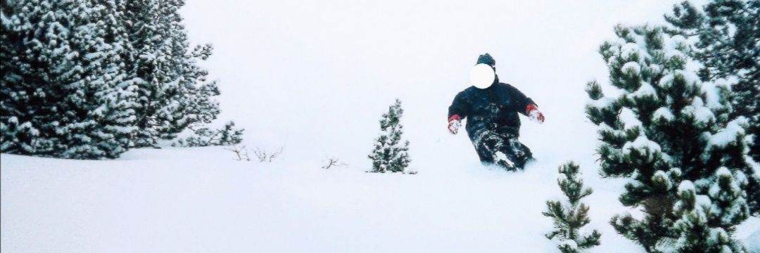 SalArtBer 🌊🏔️ banner