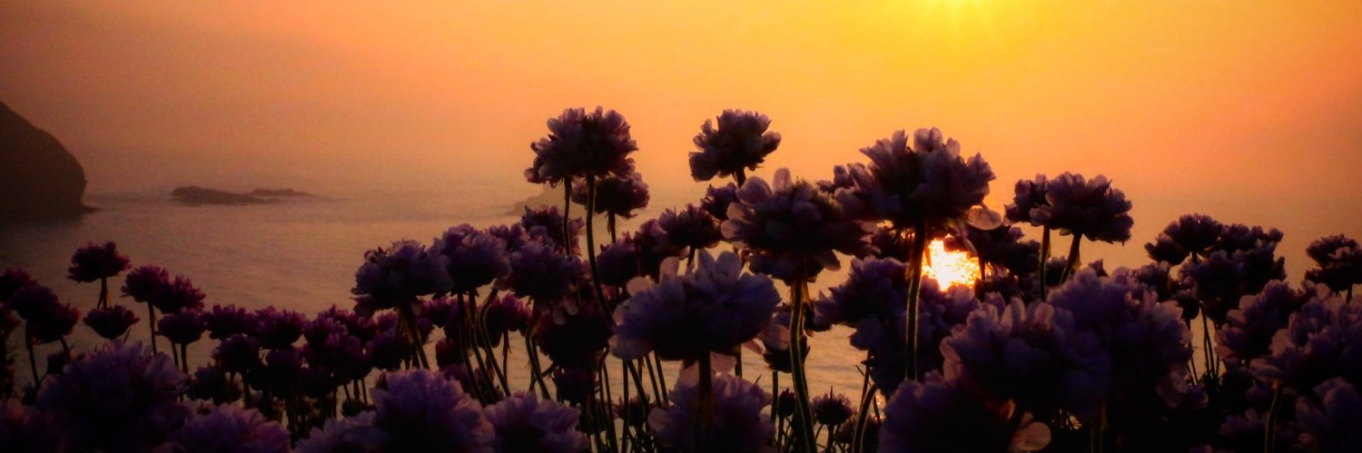 CareyAhern's profile banner image