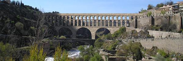 ForoToletho Profile Banner