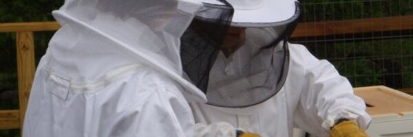 catskillprovs Profile Banner