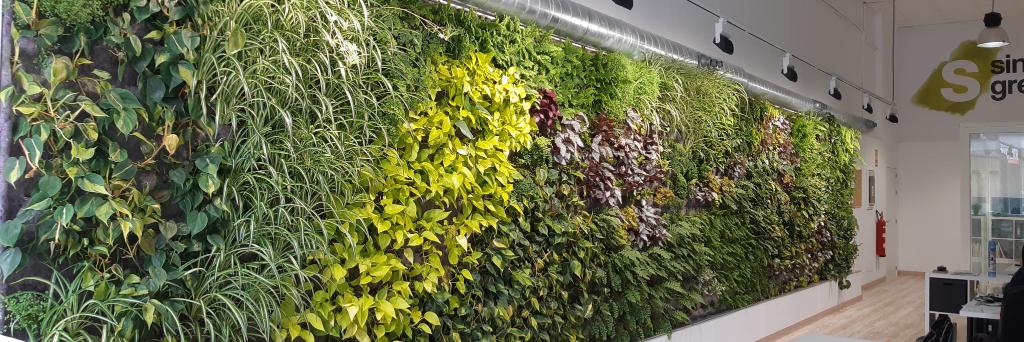 SingularGreen banner