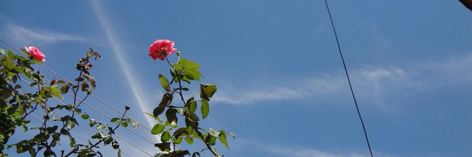 Cadrige's profile banner image