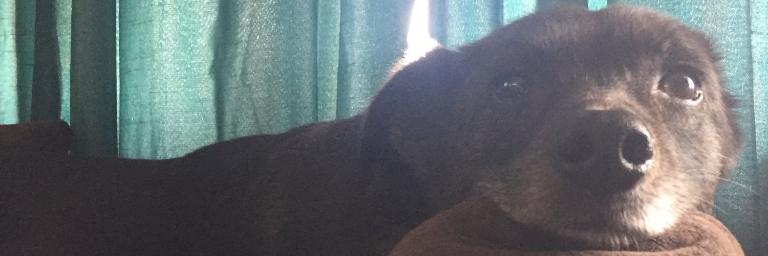 veeeeegs's profile banner image