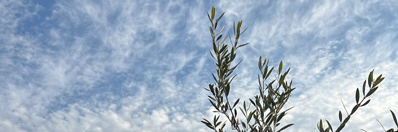 totobaeza's profile banner image