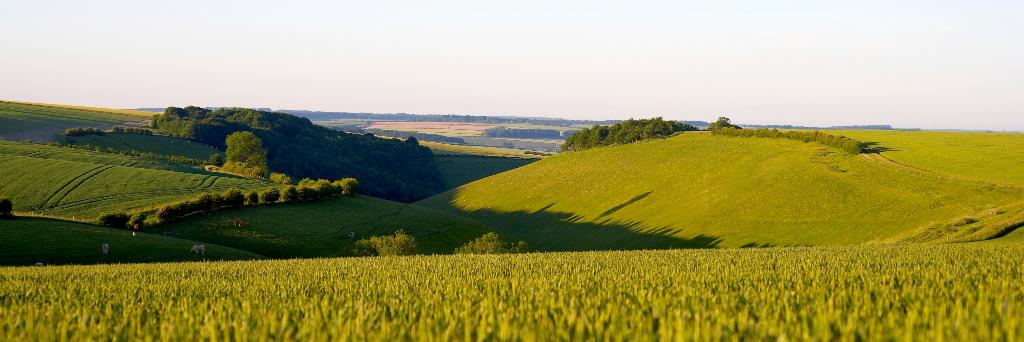 Visit Hull & East Yorkshire banner