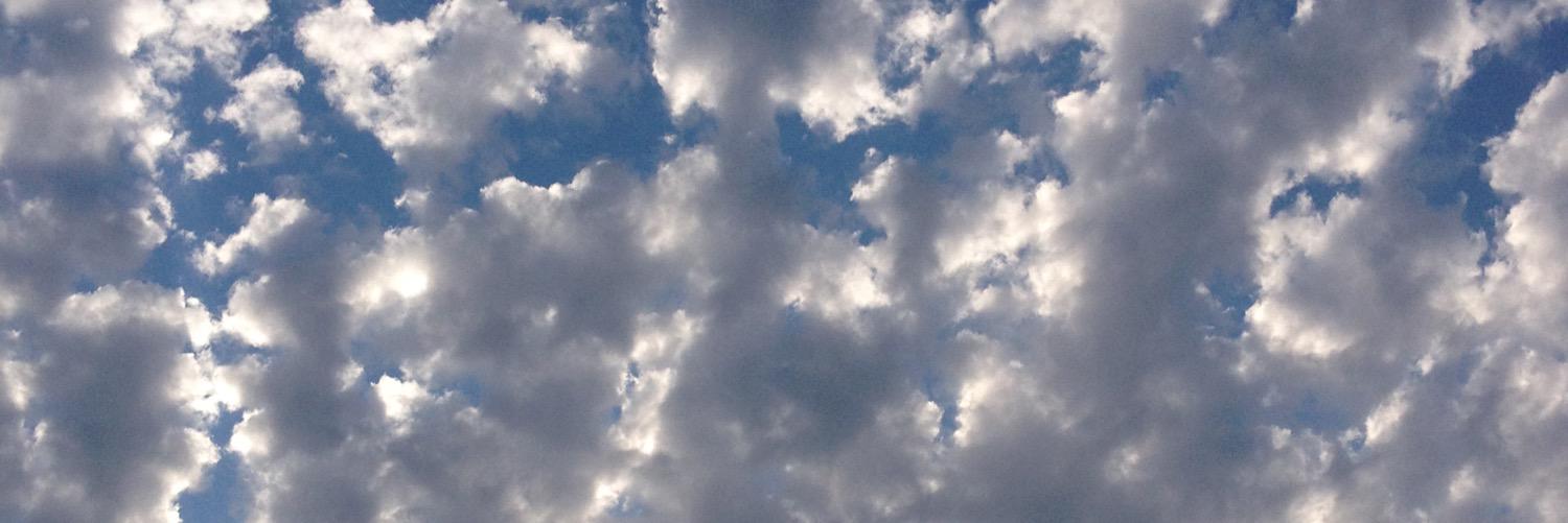 Anne E Lester banner