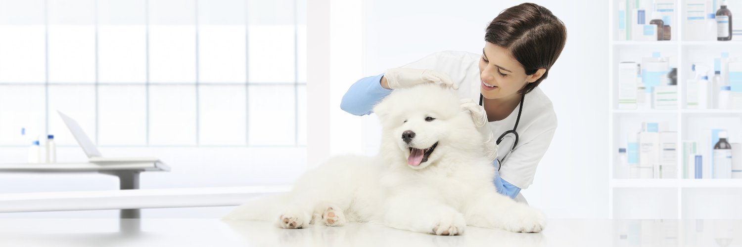 Veterinary Practice News banner