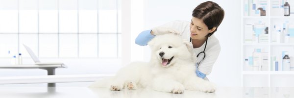 VetPracticeNews Profile Banner