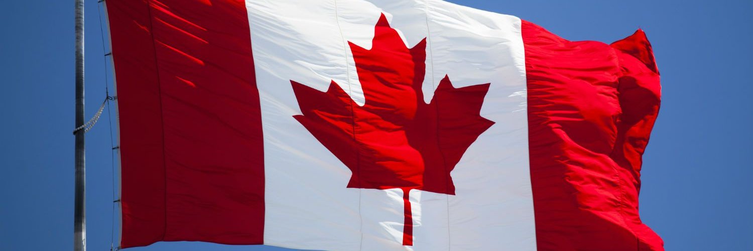 Mother of Doodle banner