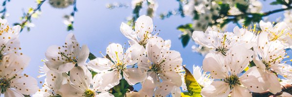 And_then_2 Profile Banner