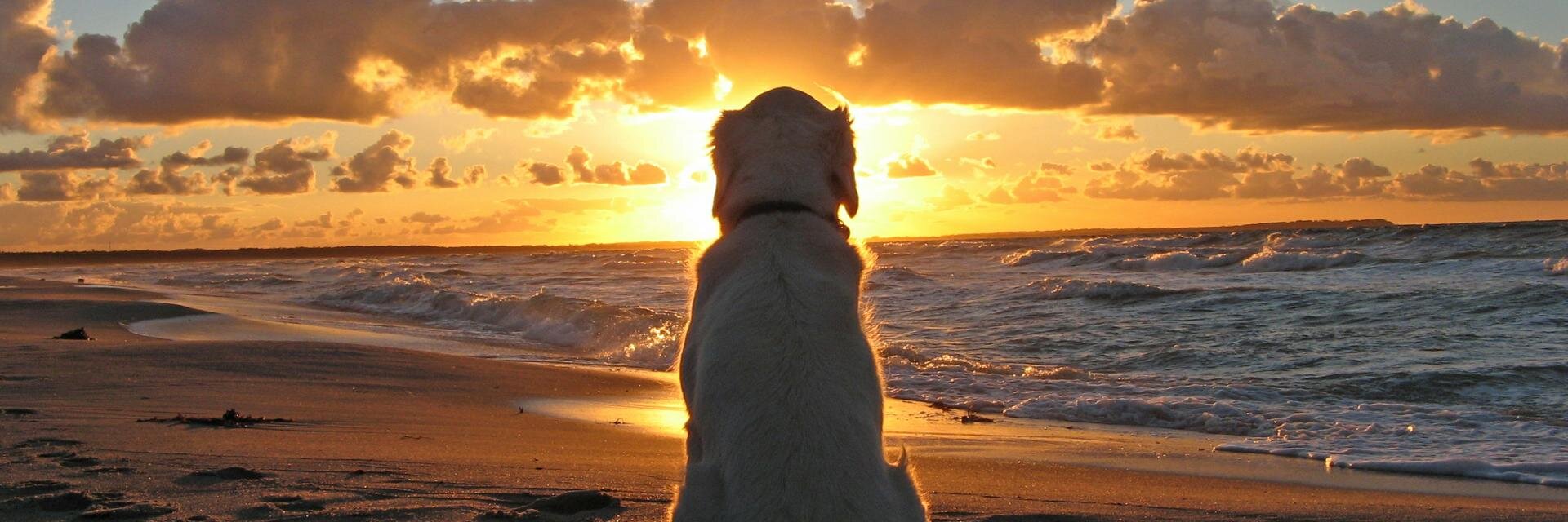 Nostalgiaplatz banner