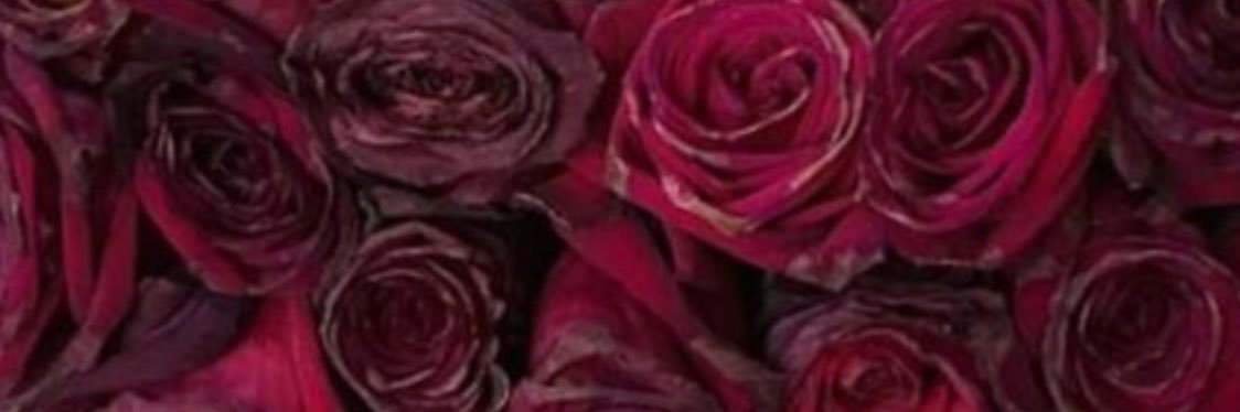 val26jack's profile banner image