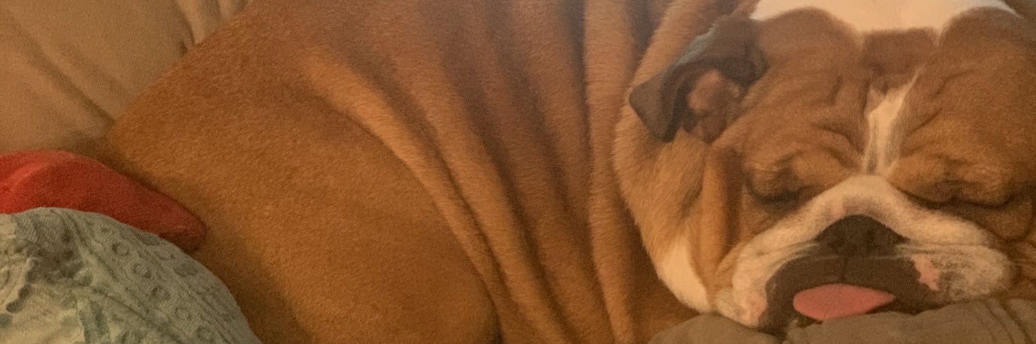 epagano6's profile banner image