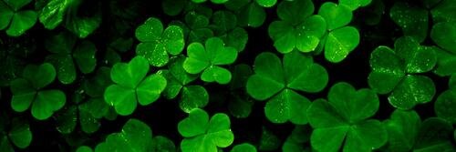 Brenda Allard, CSP banner