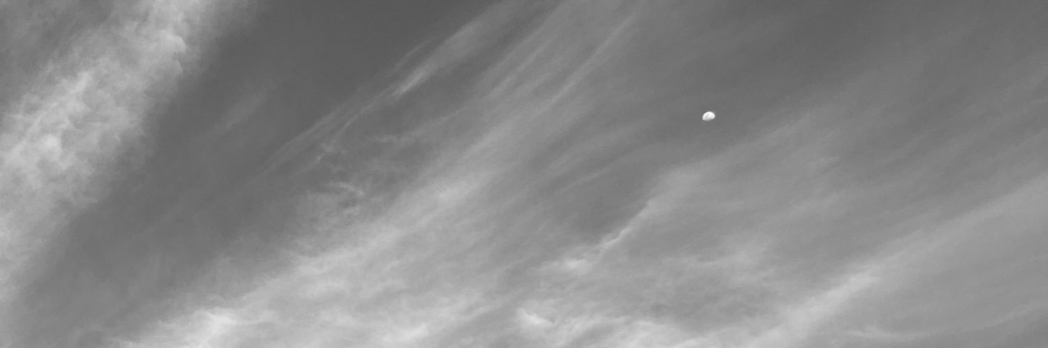 danyespia's profile banner image