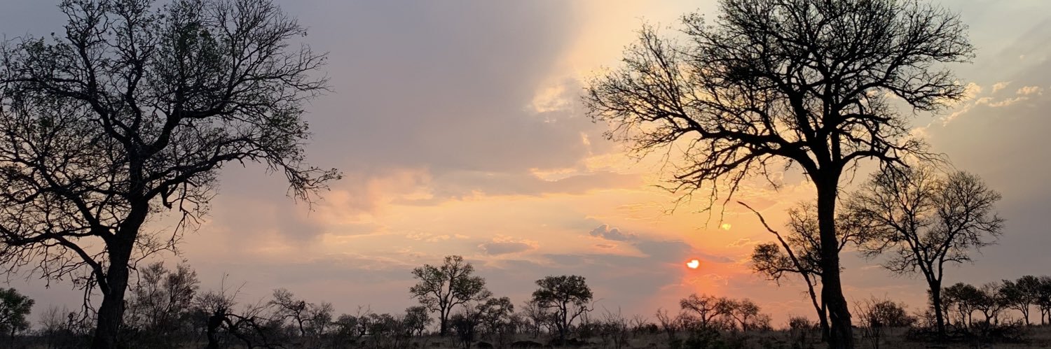 lu_andaller's profile banner image