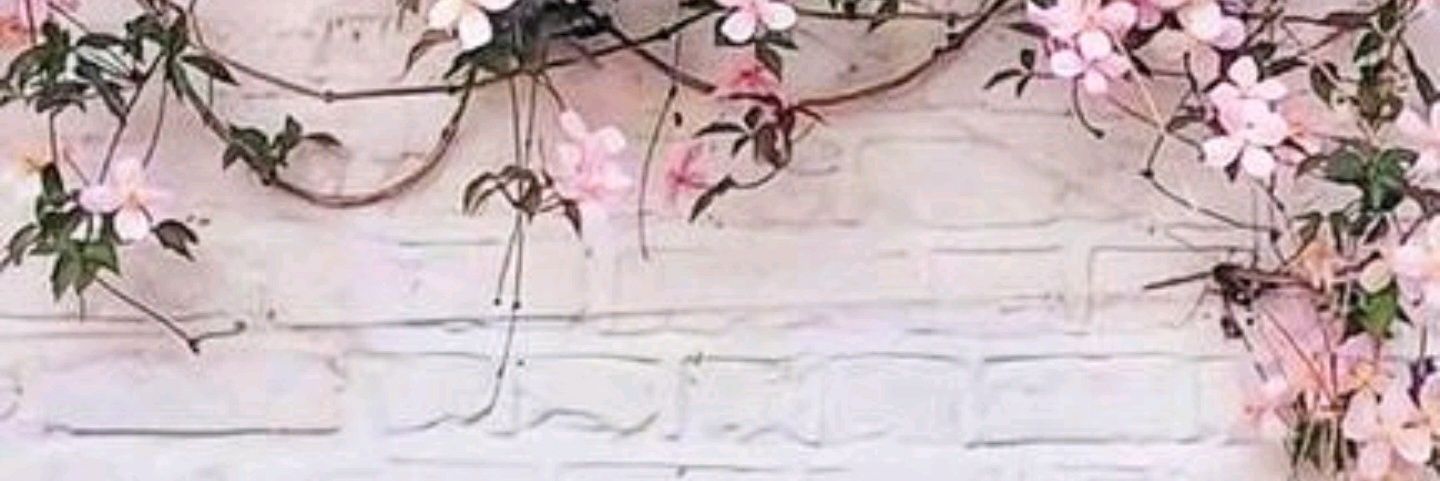 bethlaar's profile banner image