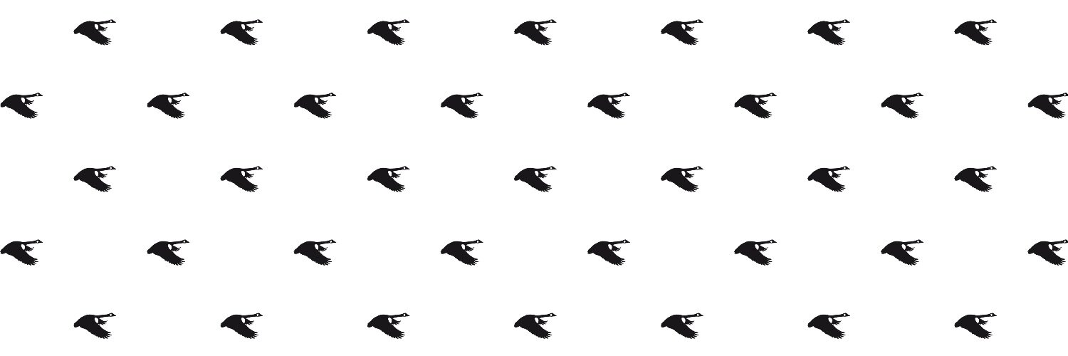 canadaeditorial's profile banner image