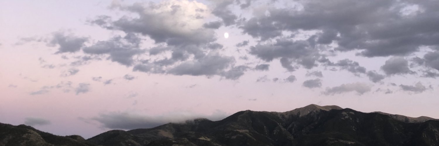 LexReptar's profile banner image