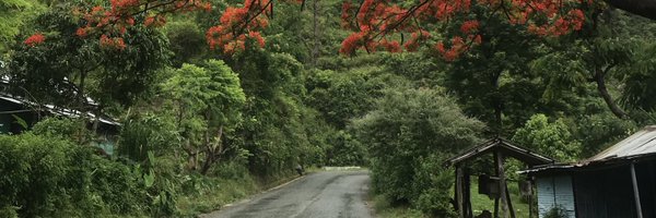 photugraph Profile Banner