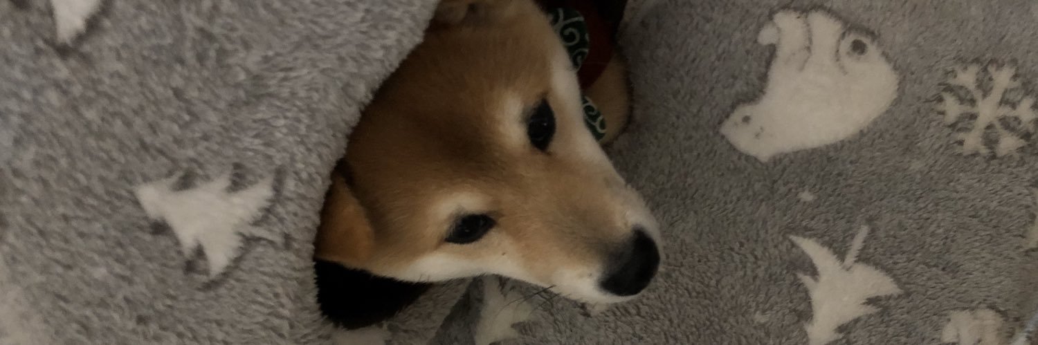 neoneoLED's profile banner image