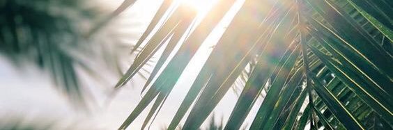realtingluv's profile banner image