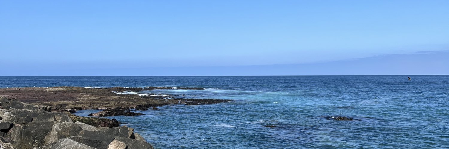 DiscloSifre's profile banner image
