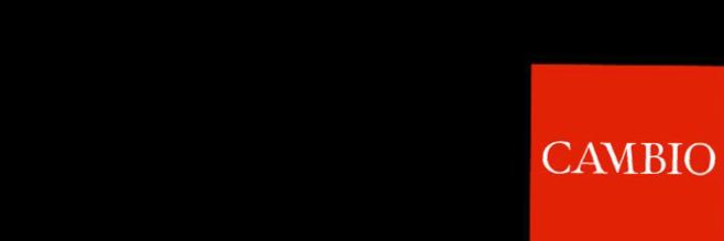 paulabravo's profile banner image