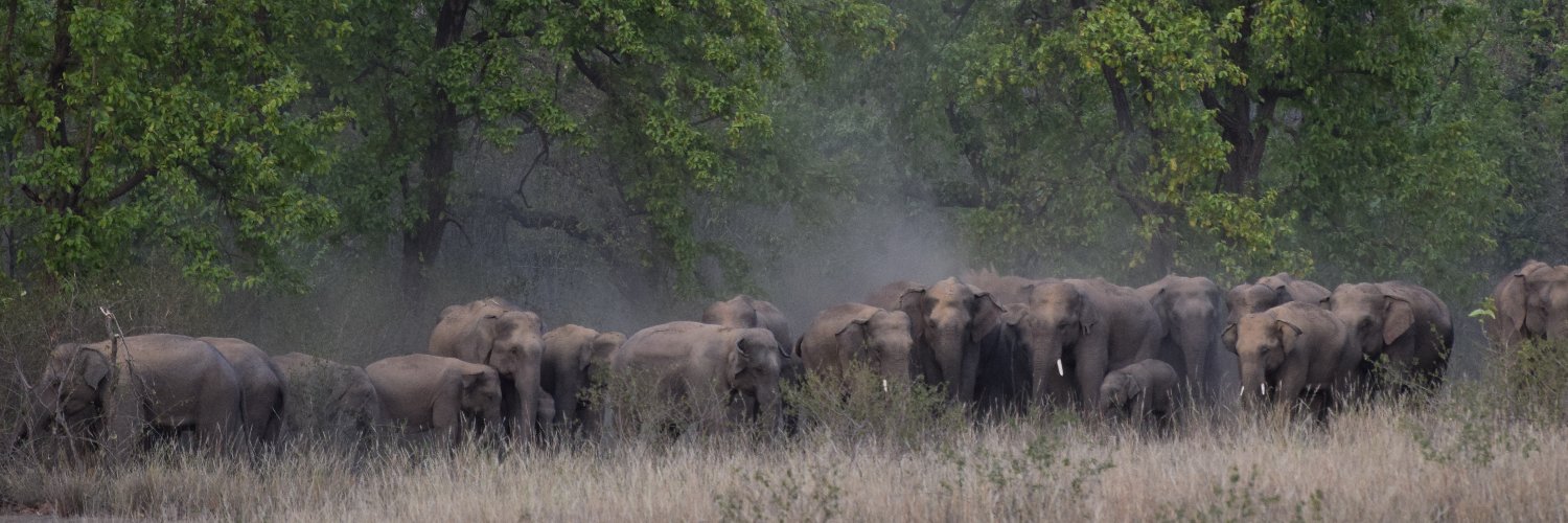 Ritesh Vishwakarma banner