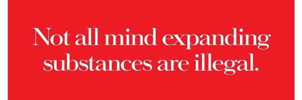 haleNcrazy Profile Banner