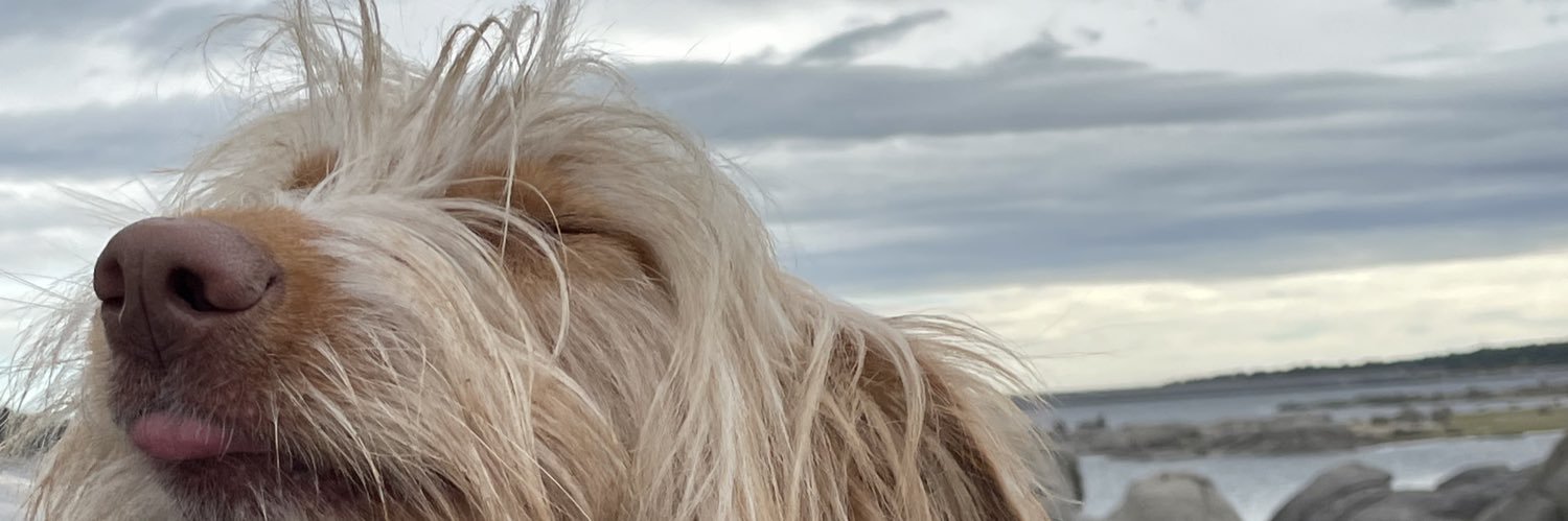 palopur's profile banner image