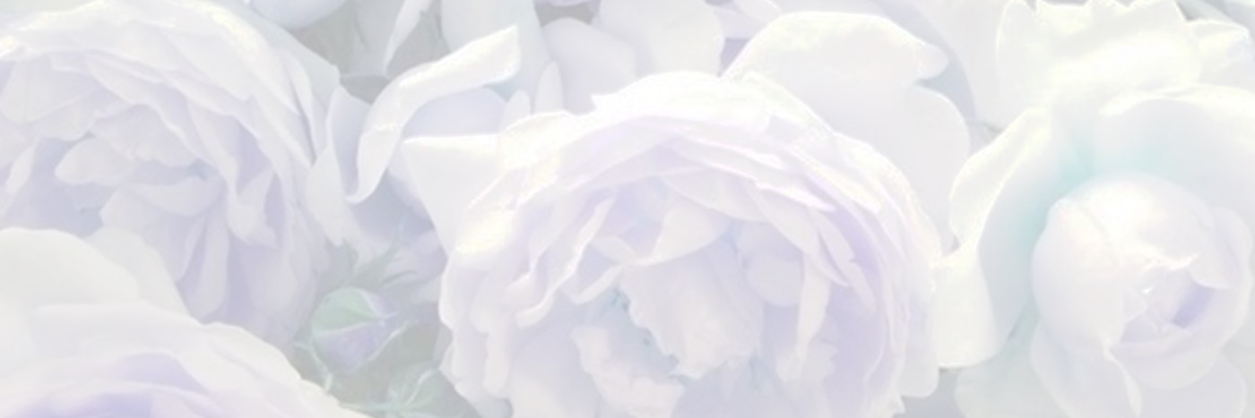 aurora 🌙🐲🪽🦋🪻🫧 banner