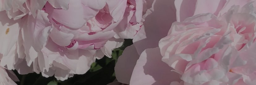 StephSRanger's profile banner image