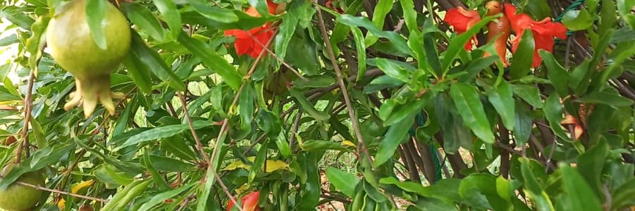 TomZac5's profile banner image