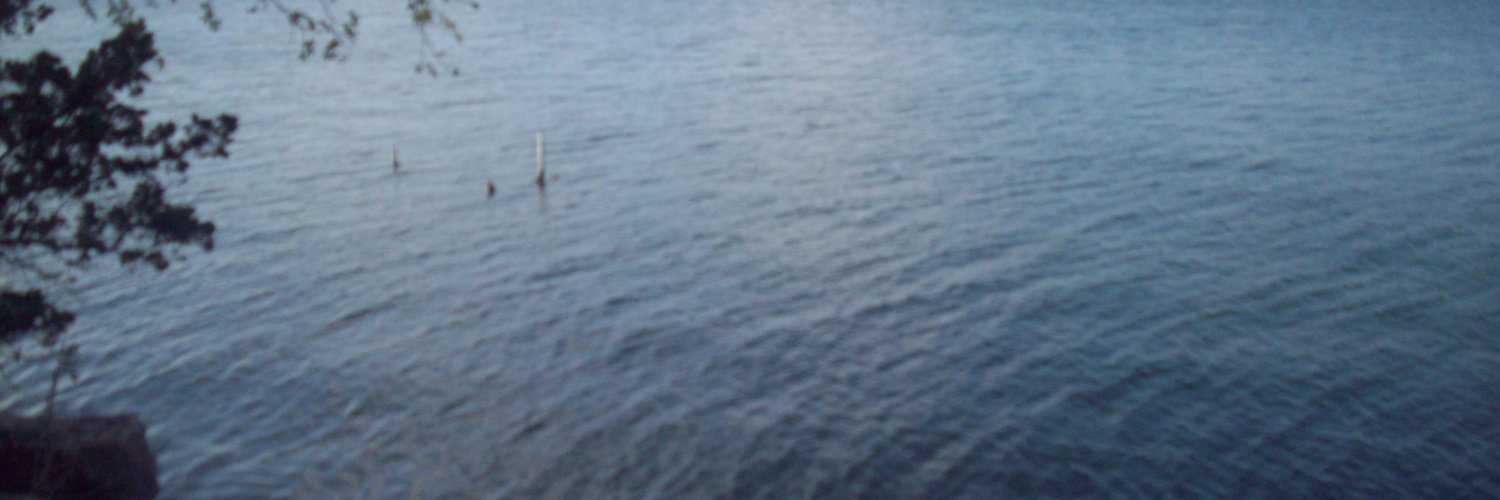 MMTLPwillwin's profile banner image