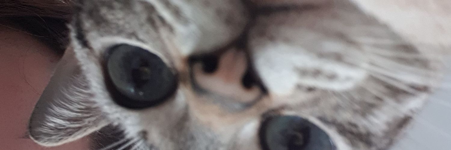 personificar's profile banner image