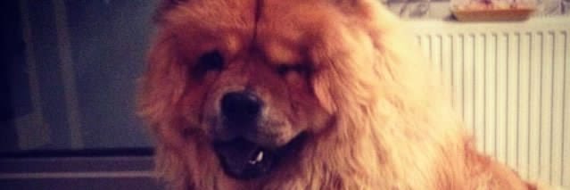 TugNev's profile banner image