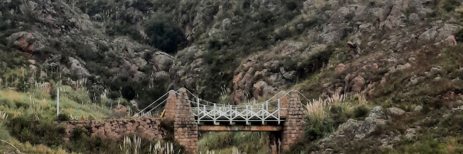 cintia_sca's profile banner image