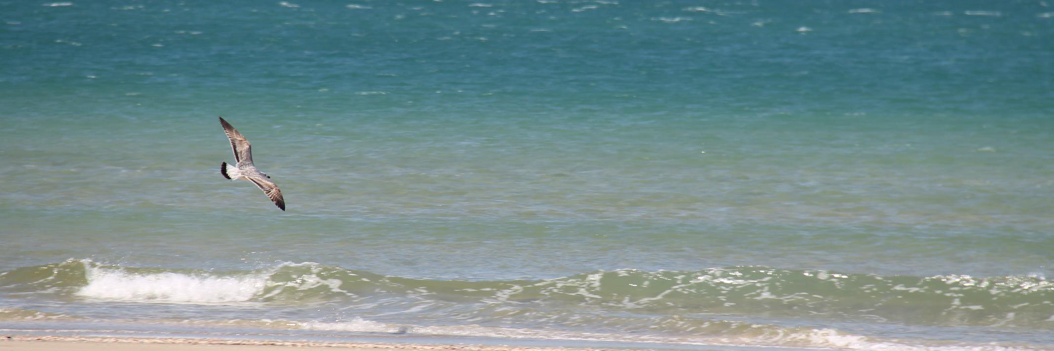 helechr's profile banner image