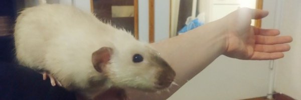 Greyleg666 Profile Banner