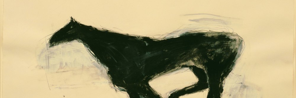 steaviva's profile banner image