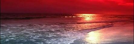SÜKŪT-U  AŞK banner
